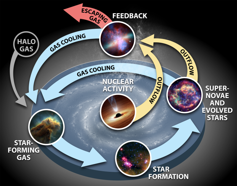Understanding the interplay between gas and star formation in nearby galaxies