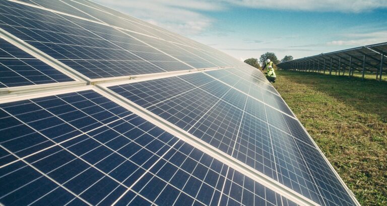 Microclimatic modelling below solar panel canopies