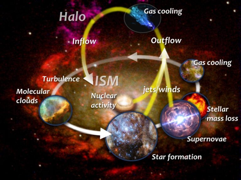 Feeding galaxies: The interplay between gas and star formation in nearby galaxies