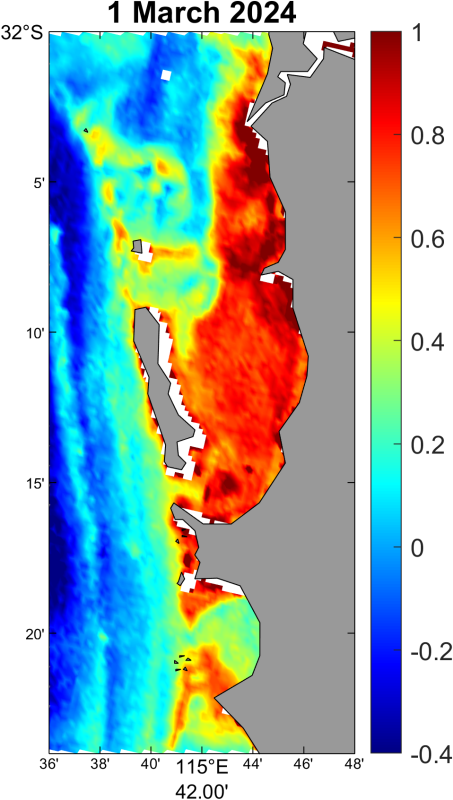 Physical processes contributing to high chlorophyll events in Perth metropolitan waters