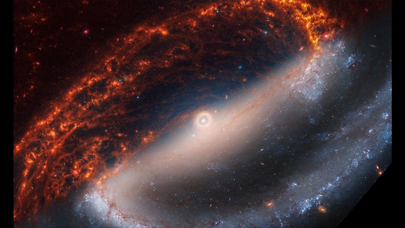 Physics of Galactic Bars