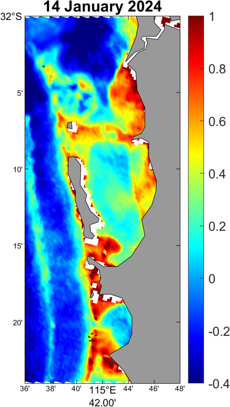 Physical processes contributing to high chlorophyll events in Perth metropolitan waters 