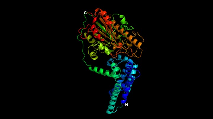 Multi-drug resistance (MDR) in Gram-negative bacteria has been identified as a major worldwide public health concern.